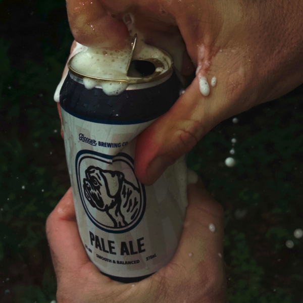 BXR Pale Ale: Where Bold Meets Balance